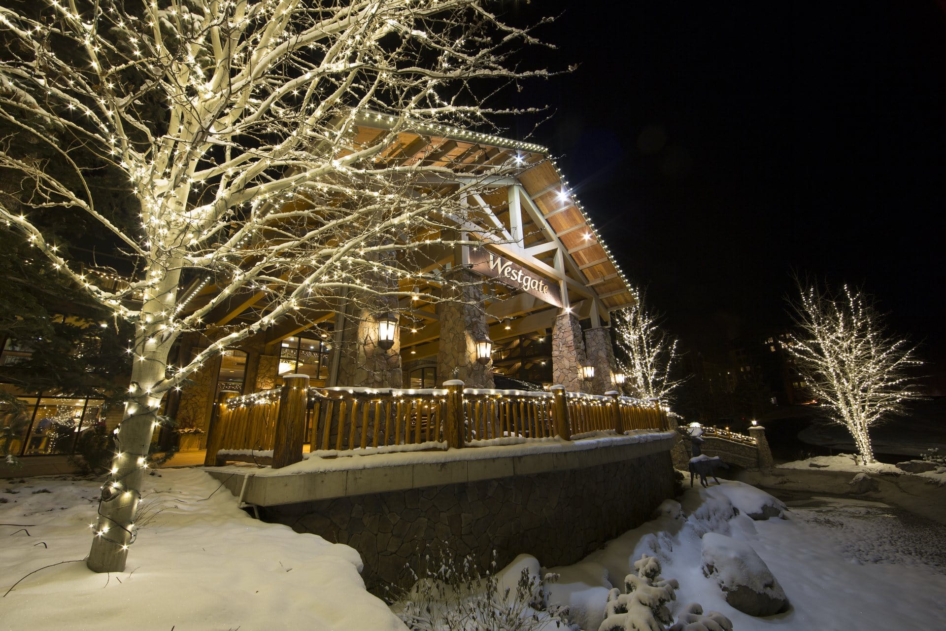 Lodge with Westgate sign, surrounded by snow and trees decorated with white string lights at night.