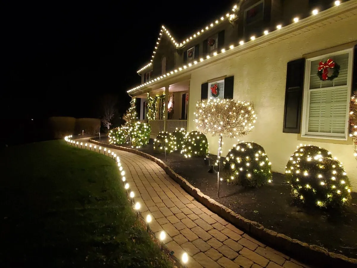 Pathway and landscape lighting along a brick walkway and shrubs at night