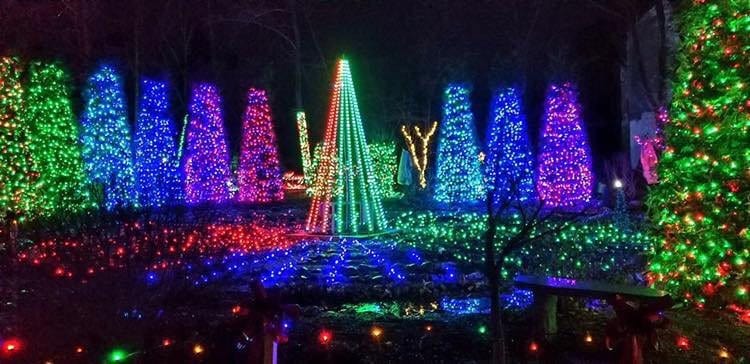 Colorful Christmas trees and lights glowing at night in a festive outdoor holiday display.