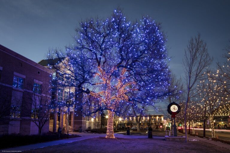 Large tree covered in blue and white holiday lights glows beside buildings at dusk on a city street.