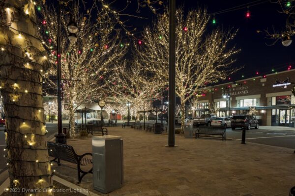 A town square at night with trees and buildings decorated with festive string lights.
