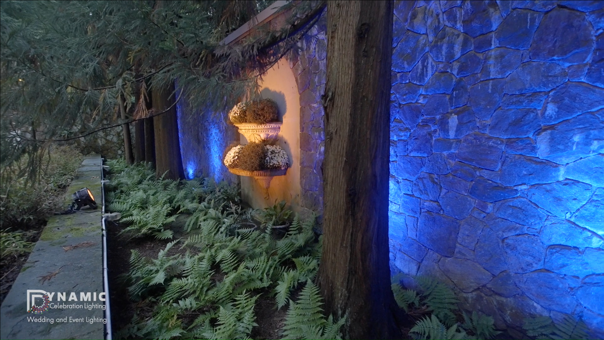 Stone wall lit with blue lights, ferns on the ground, urn planter with shrubs, trees beside the wall.