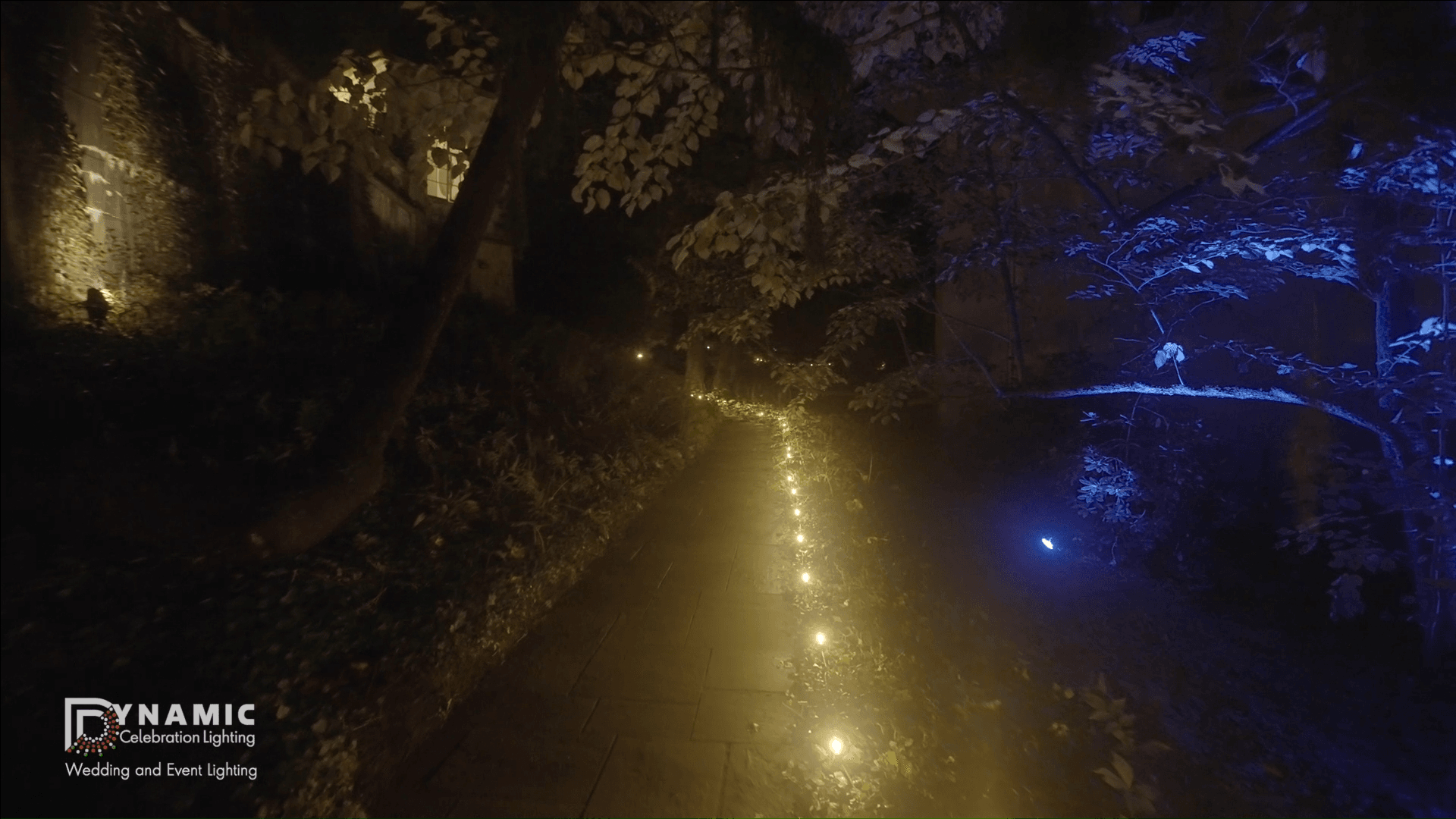A dim garden path with string lights on the ground and blue uplighting on surrounding trees at night.