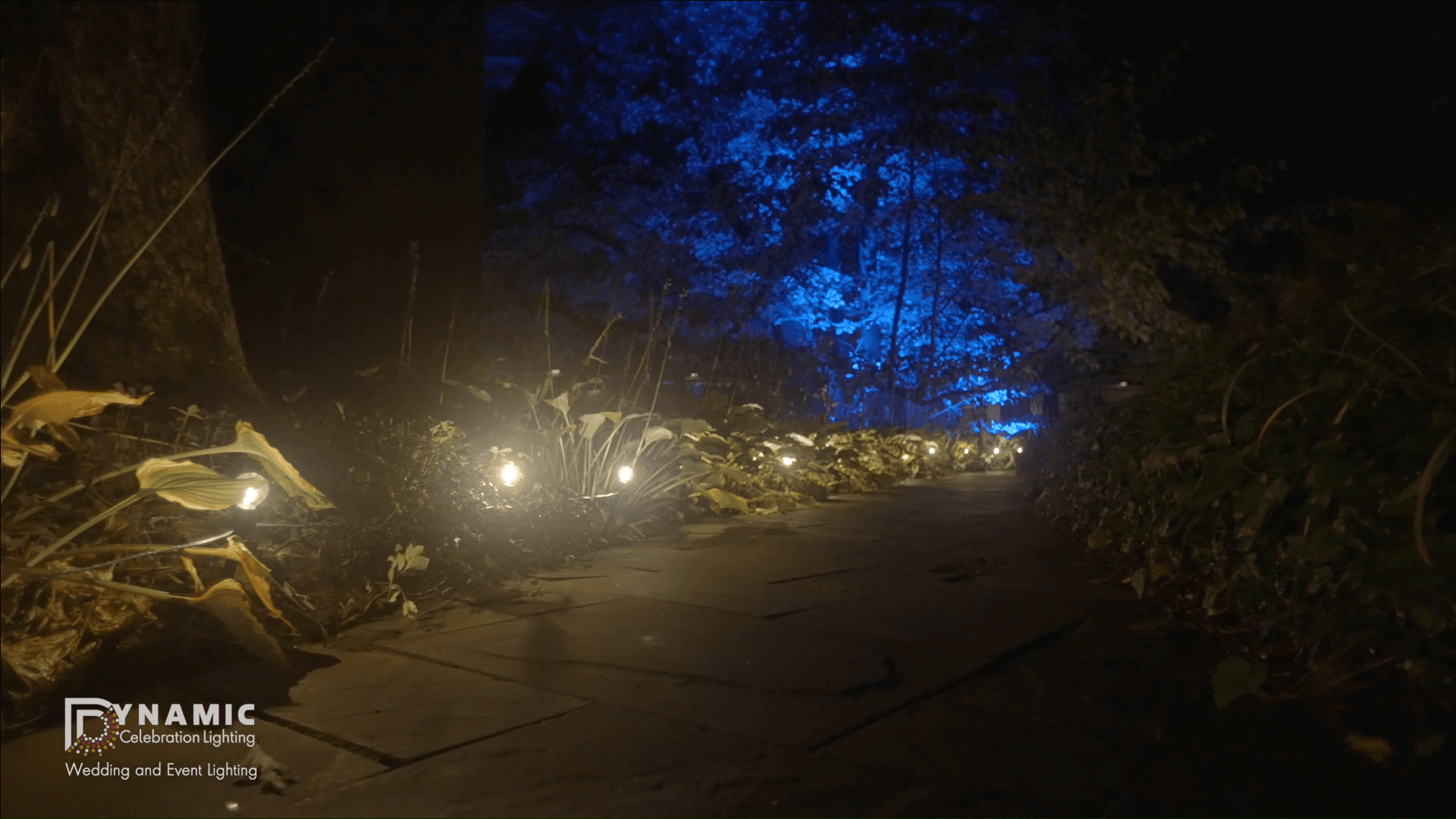 Pathway lights illuminating a courtyard walkway at night